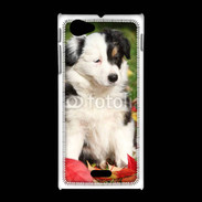 Coque Sony Xpéria J Adorable chiot Border collie