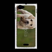 Coque Sony Xpéria J Chiot labrador avec pomme de pin