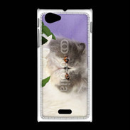 Coque Sony Xpéria J Chat persan 1