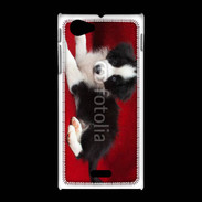 Coque Sony Xpéria J Chiot noir et blanc 5