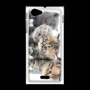 Coque Sony Xpéria J Groupe de chatons 7