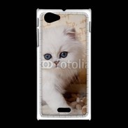 Coque Sony Xpéria J Adorable chaton persan 2