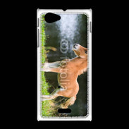 Coque Sony Xpéria J Poulain marron et blanc