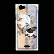 Coque Sony Xpéria J Bulldog français nain