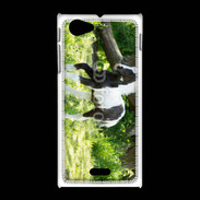 Coque Sony Xpéria J Poulain noir et blanc
