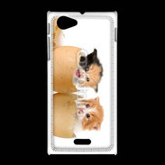 Coque Sony Xpéria J Chaton dans des coquilles d'oeuf