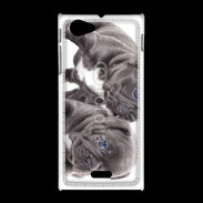 Coque Sony Xpéria J Duo de bulldog français 5