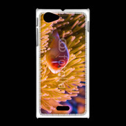 Coque Sony Xpéria J Poisson tropical 15