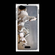 Coque Sony Xpéria J Groupe de chevaux blancs