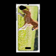 Coque Sony Xpéria J Poulain 2