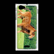 Coque Sony Xpéria J Poulains