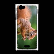 Coque Sony Xpéria J Ecureuil avec des noisettes