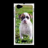 Coque Sony Xpéria J Chiot American Staffordshire terrier 