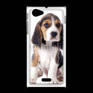 Coque Sony Xpéria J Chiot Beagle 50