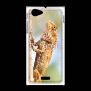 Coque Sony Xpéria J Portrait d'un lézard