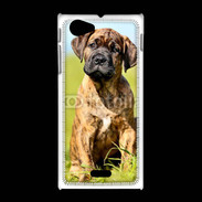 Coque Sony Xpéria J Portrait d'un mastiff