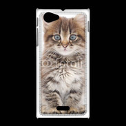Coque Sony Xpéria J Portrait d'un chaton 75
