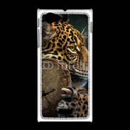Coque Sony Xpéria J Portrait d'un jaguar