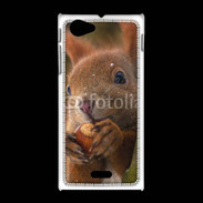 Coque Sony Xpéria J Portrait d'un écureuil avec une noisette