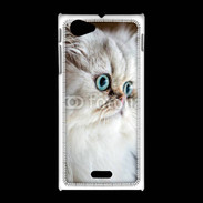 Coque Sony Xpéria J Magnifique chat persan aux yeux bleus