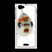 Coque Sony Xpéria J Poisson Silver Koi de face