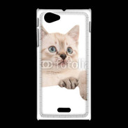 Coque Sony Xpéria J Petit chaton en portrait
