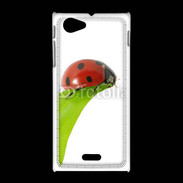 Coque Sony Xpéria J Belle coccinelle 10