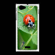 Coque Sony Xpéria J Coccinelle sur une feuille