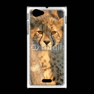 Coque Sony Xpéria J Jeune félin
