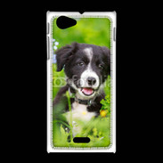 Coque Sony Xpéria J Chiot Border Collie 100