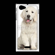 Coque Sony Xpéria J Chiot Golden retriever 100