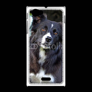 Coque Sony Xpéria J Border collie 500