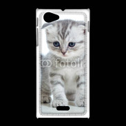 Coque Sony Xpéria J Chaton gris en balade