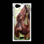 Coque Sony Xpéria J Famille de singe 50