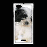 Coque Sony Xpéria J Chiot Shitzu 100