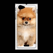 Coque Sony Xpéria J Chiot Spitz 15