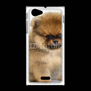 Coque Sony Xpéria J Chiot Pomeranian 15