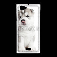 Coque Sony Xpéria J Chiot Husky Sibérien 500