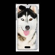 Coque Sony Xpéria J portrait Husky 500