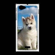 Coque Sony Xpéria J Chiot Husky Sibérien 510