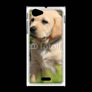Coque Sony Xpéria J Portrait de chiot Labrador 800