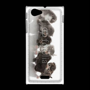 Coque Sony Xpéria J Petit chat en folie 500