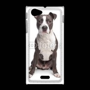 Coque Sony Xpéria J American Staffordshire Terrier puppy