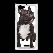 Coque Sony Xpéria J Chiot Bulldog français 620