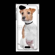Coque Sony Xpéria J Jack Russel terrier 600