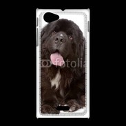 Coque Sony Xpéria J Chiot Terre neuve 500