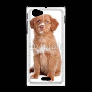 Coque Sony Xpéria J Chiot Retriever 600