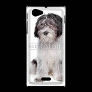 Coque Sony Xpéria J Schapendoes Dutch Sheepdog