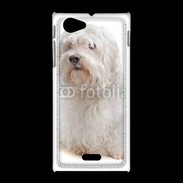 Coque Sony Xpéria J Bichon Maltais 600