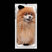 Coque Sony Xpéria J Keeshond 500